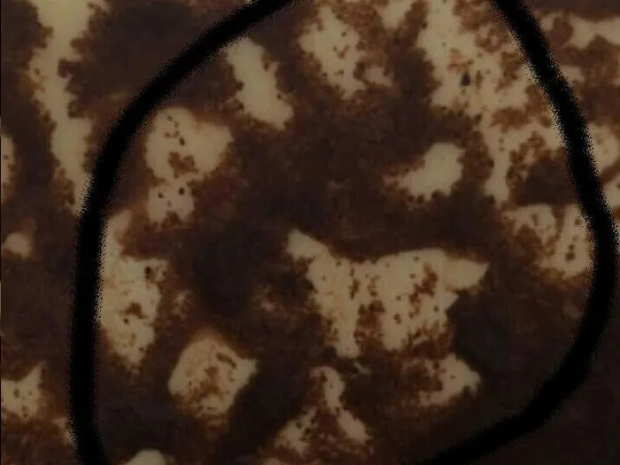 Запись на прием к гадалке в Тюмени